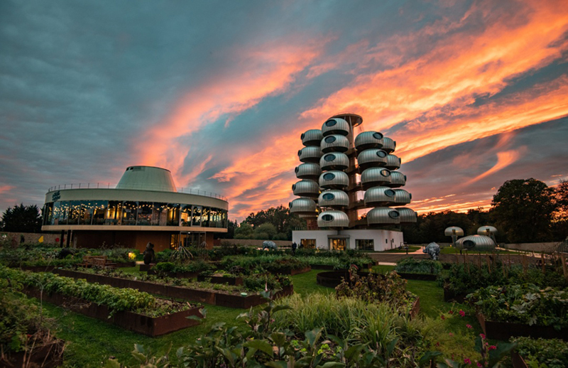 越看越像樹葡萄，但一點(diǎn)都不“土味”